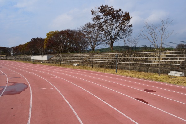 Chuseong Stadium - Damyang