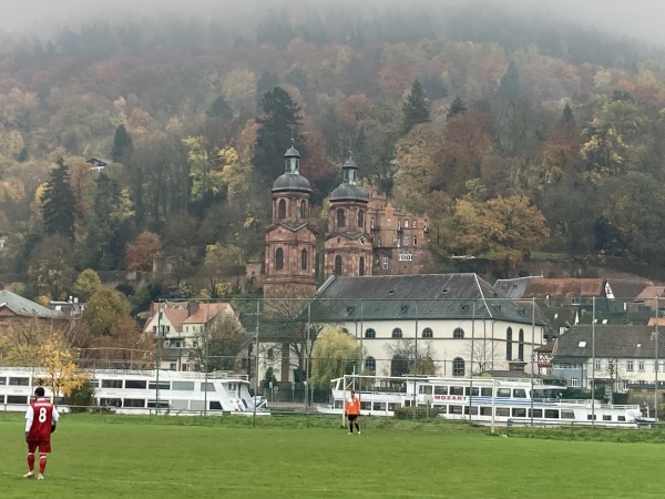 MSV-Stadion Nebenplatz - Miltenberg
