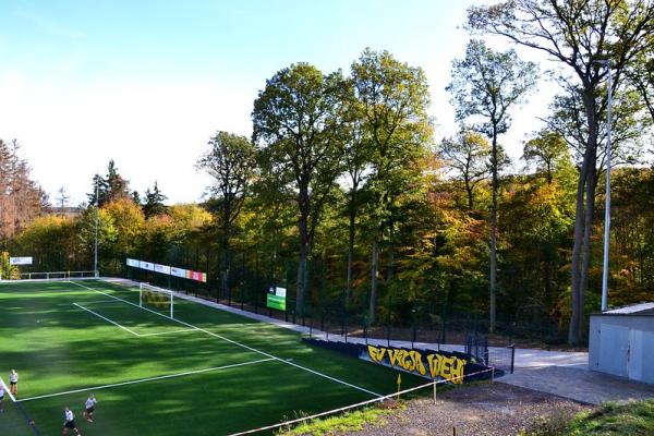 Sportplatz Waldstraße - Wehr/Eifel