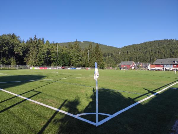 Maik-Löffler-Arena - Titisee-Neustadt