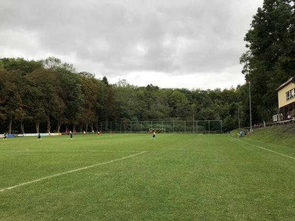 Sportplatz Friedetal - Sollstedt