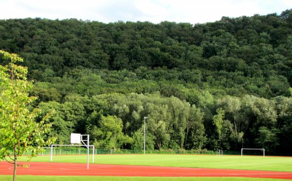 Sportplatz Schulpforte - Naumburg/Saale-Schulpforte