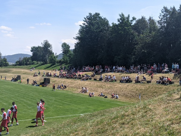 Ludwig Desiderato-Stadion - Klettgau-Erzingen Ludwig Desiderato-Stadion - Klettgau-Erzingen