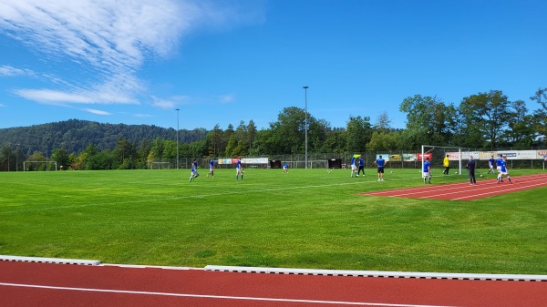 Quätschich Arena - Kreuzwertheim