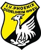 Wappen SV Phönix Düdelsheim 1919 diverse