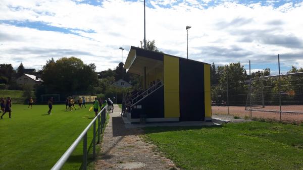 Sportplatz Niderwis - Elsau