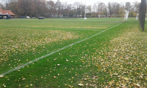 Städtisches Stadion Düsternortstraße B-Platz - Delmenhorst