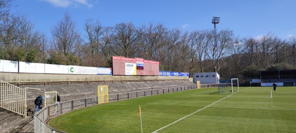 Gemeentelijk Parkstadion - Boom