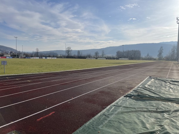 Mooswaldstadion - Moos/Bodensee