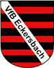 Wappen VfB Eckersbach 1990 diverse