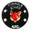Wappen Foxhole Stars AFC  7420