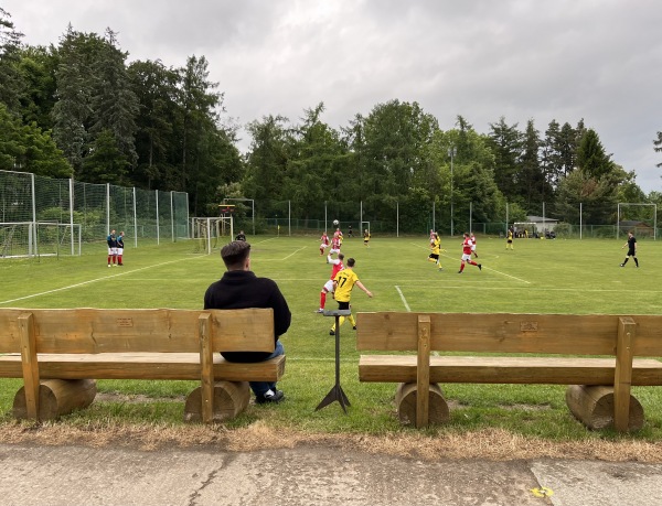 Sportplatz Am Wasserturm - Zwickau-Oberplanitz