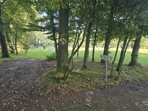Sportpark Bovenmolen veld 2 - Oldebroek