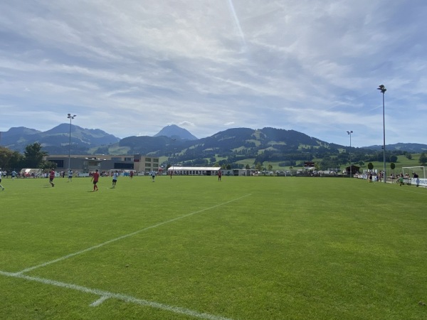 Parc des Sports Nestlé (Ronclina) - La Tour-de-Trême