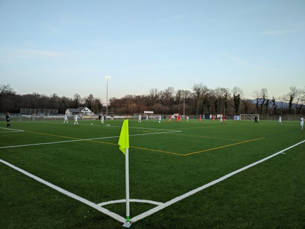 Waldeckstadion Nebenplatz 1 - Reute/Breisgau