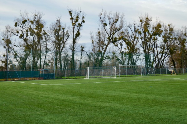 Sportanlage am See Kunstrasenplatz - Hard