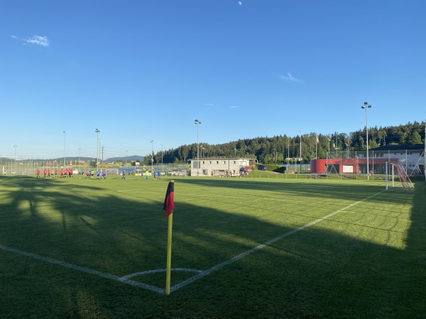 Sportanlage Rolli Platz 2 - Seuzach