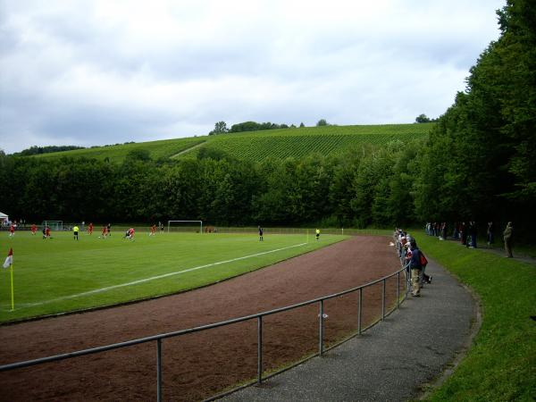 Sportzentrum Gundelsheim - Gundelsheim/Neckar