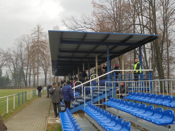 Stadion im. Józefa Waliczka - Miedźna