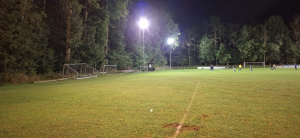 Waldstadion - Wenzendorf
