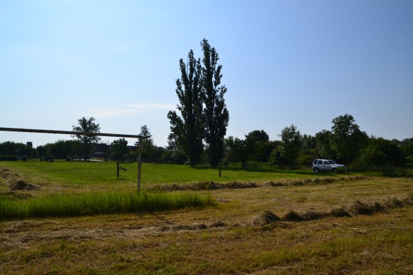 Sportplatz Zabitz - Osternienburger Land-Zabitz