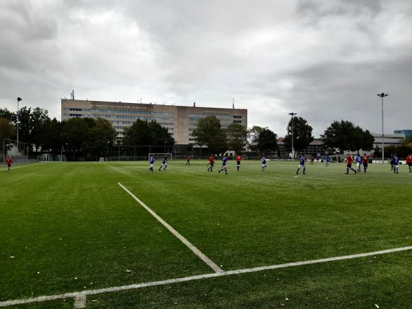Sportpark Universitair Sportcentrum veld 2 - Groningen
