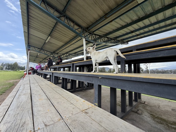 Estadio de Juan Montalvo Cancha 2 - Cayambe