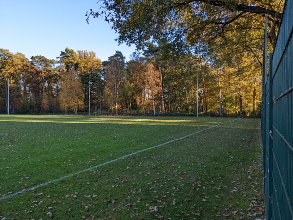 Holzhofstadion Nebenplatz 2 - Herzebrock-Clarholz