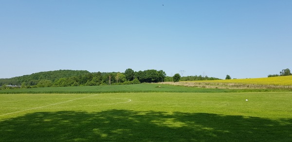 Boisko w Reczynie - Ręczyn
