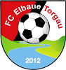 Wappen FC Elbaue Torgau 2012 diverse