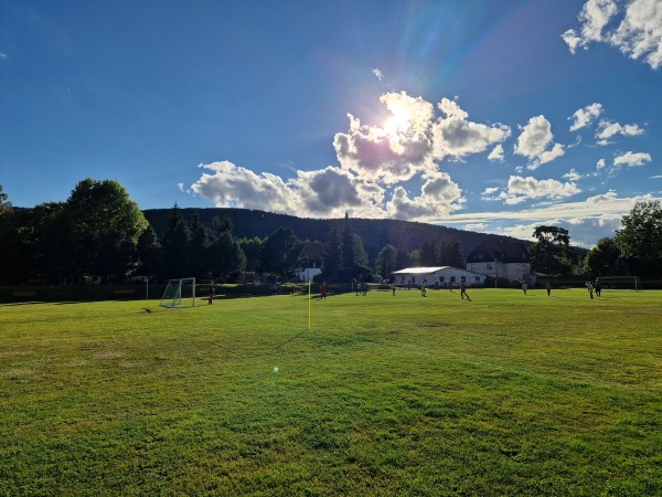 Fotbalový stadion Brandov - Brandov