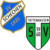 Wappen SG Schechen II / Tattenhausen II (Ground A)
