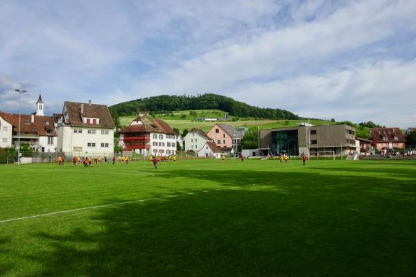 Gemeindesportplatz Arisdorf - Arisdorf