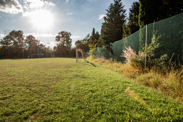 Sportanlage Lerchenweg Platz 2 - Zwickau-Eckersbach