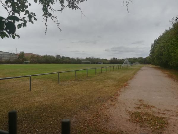 Sportplatz am Eckbach - Großniedesheim