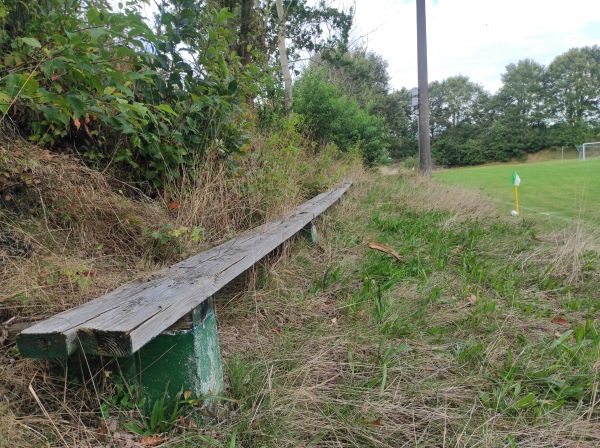 Waldstadion - Dellstedt