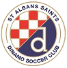 Wappen St Albans Saints Dinamo SC  23375