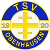 Wappen TSV Obenhausen 1920 diverse  67587