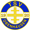Wappen TSV Obenhausen 1920 diverse