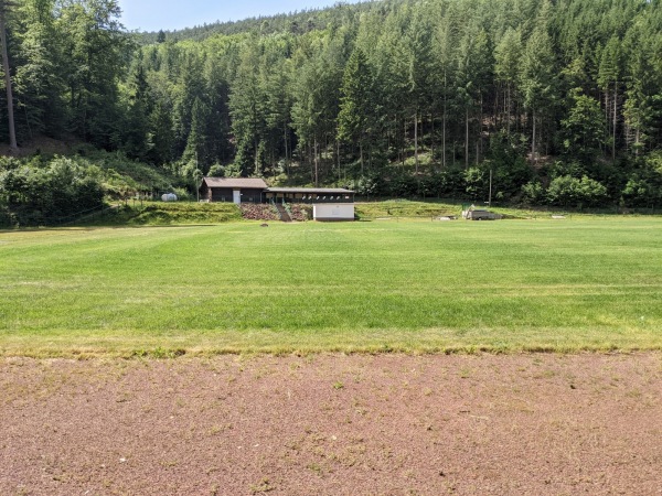 Sportplatz Erdbeertal - Weidenthal