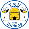 Wappen TSV Bildung Peine 1863  48976