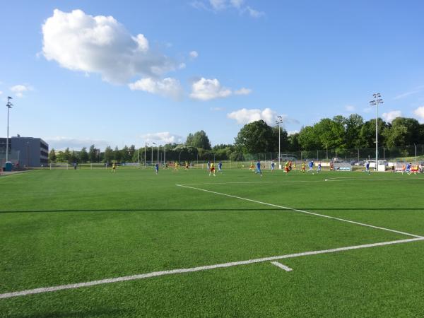 Annelinna Gümnaasium staadion - Tartu