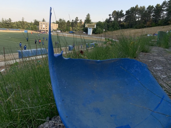 Givi Chokheli Stadion - Telavi