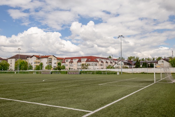 Újpest Labdarúgó Sportcentruma műfű - Budapest