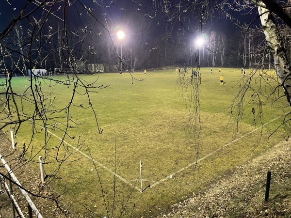 Sportanlage Grüne Eiche Platz 2 - Großthiemig