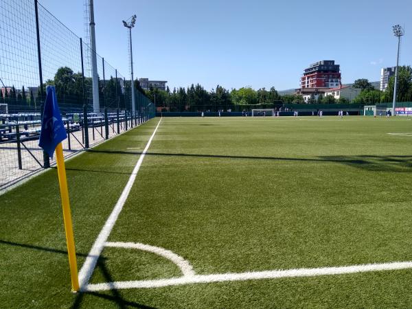 Vitali Daraselia Academy - Tbilisi
