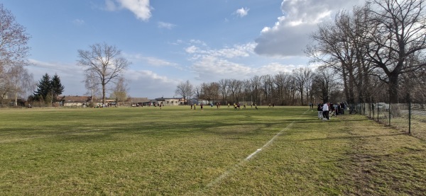 Boisko w Borowie Wielkim - Borów Wielki