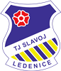 Wappen TJ Slavoj Ledenice  54618