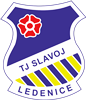 Wappen TJ Slavoj Ledenice