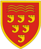 Wappen Keynsham Town FC